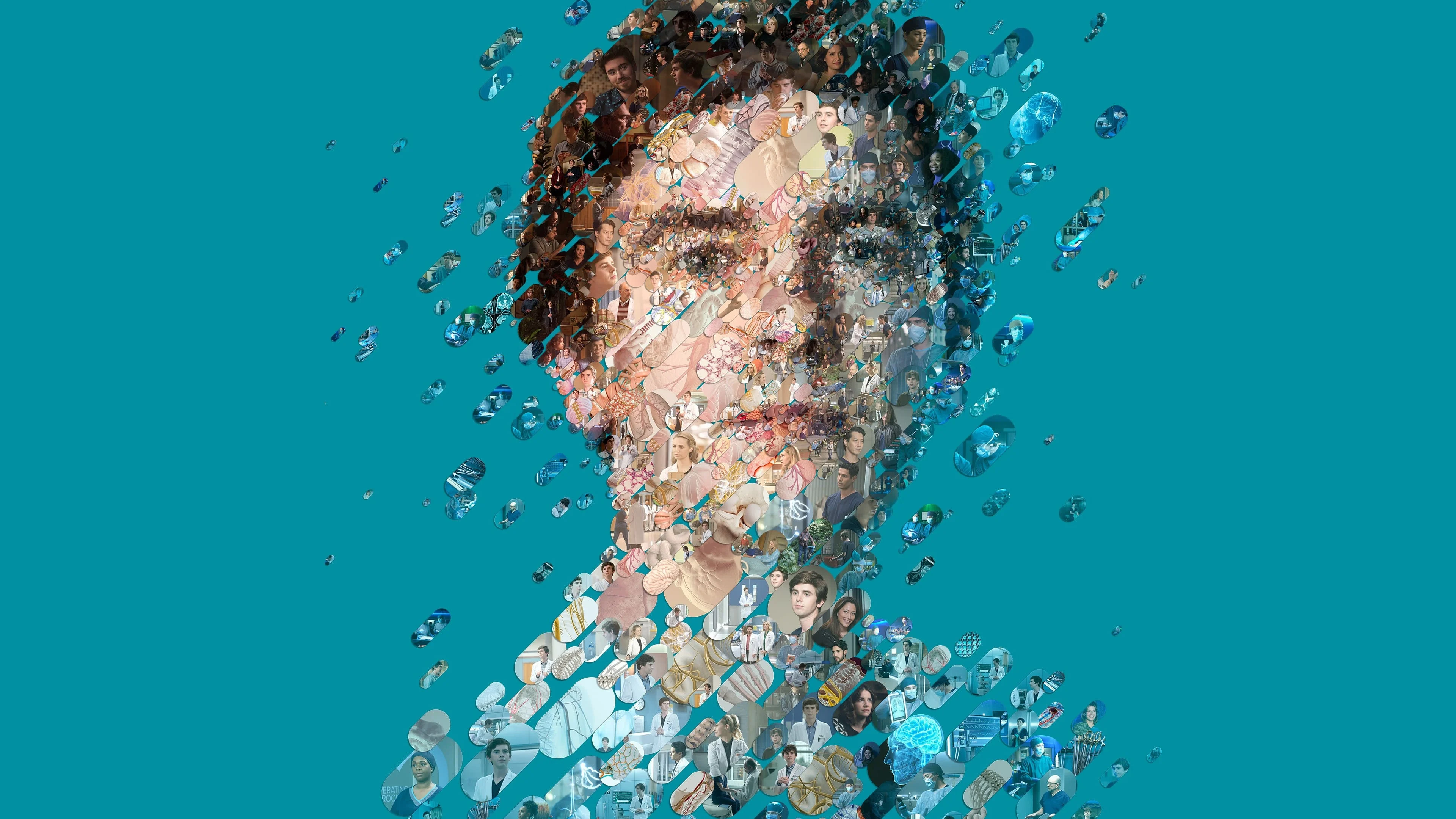 Bác Sĩ Thiên Tài (Phần 2) (The Good Doctor (Season 2))