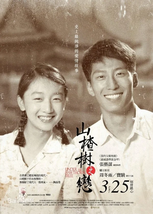 Poster phim Chuyện Tình Cây Táo Gai