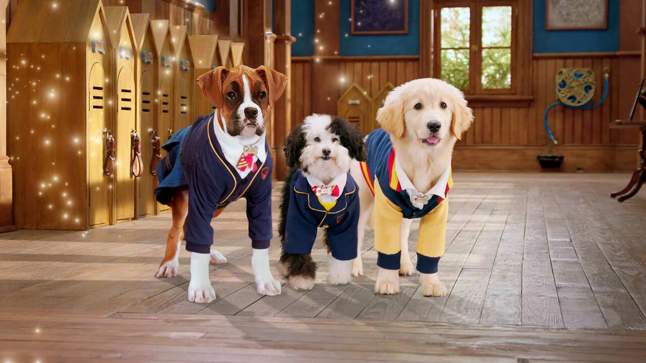 Học viện cún con (Phần 2) (Pup Academy (Season 2))