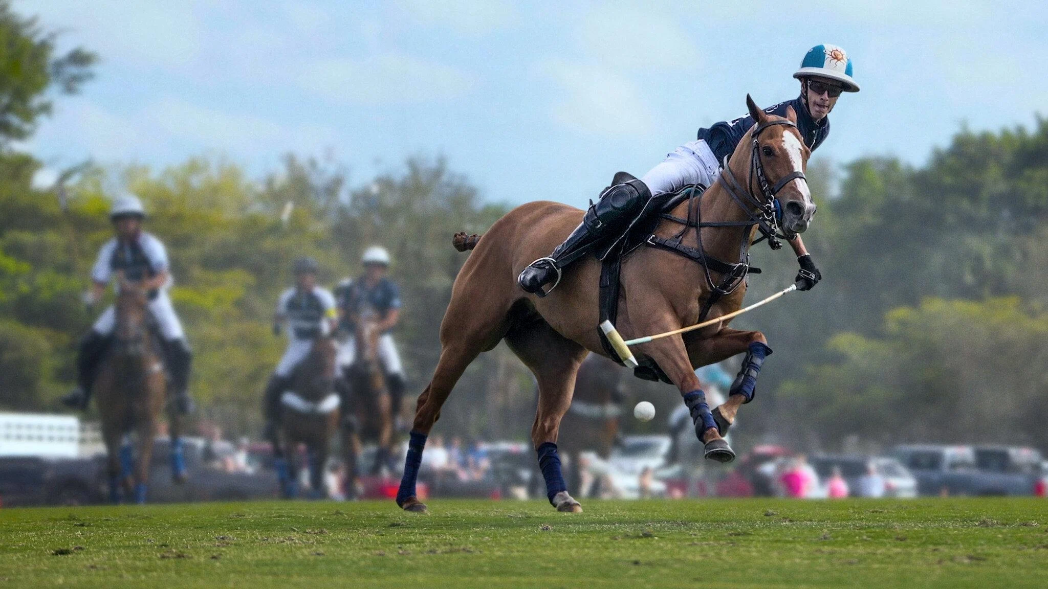 Polo (Polo)