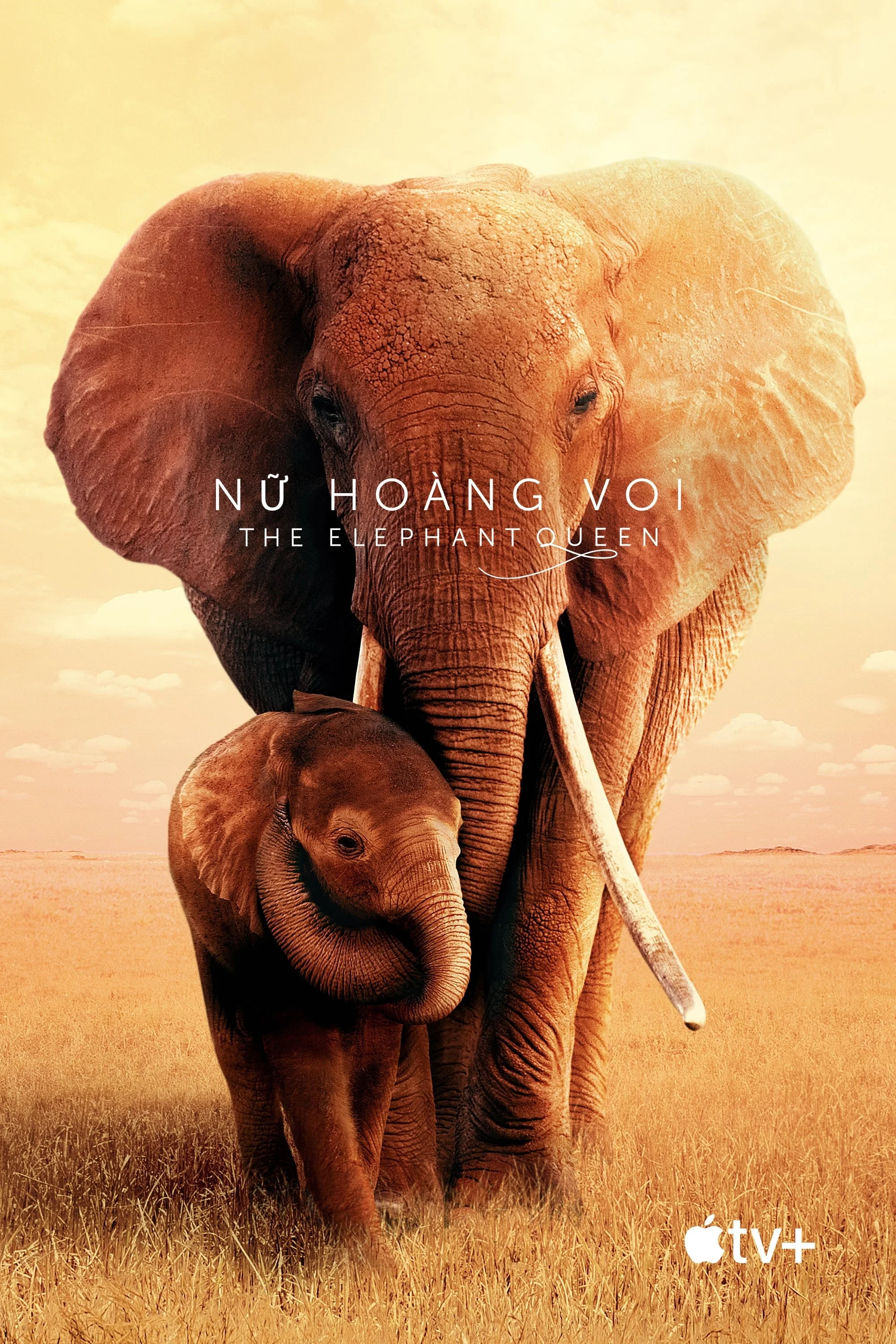 Poster phim Nữ Hoàng Voi