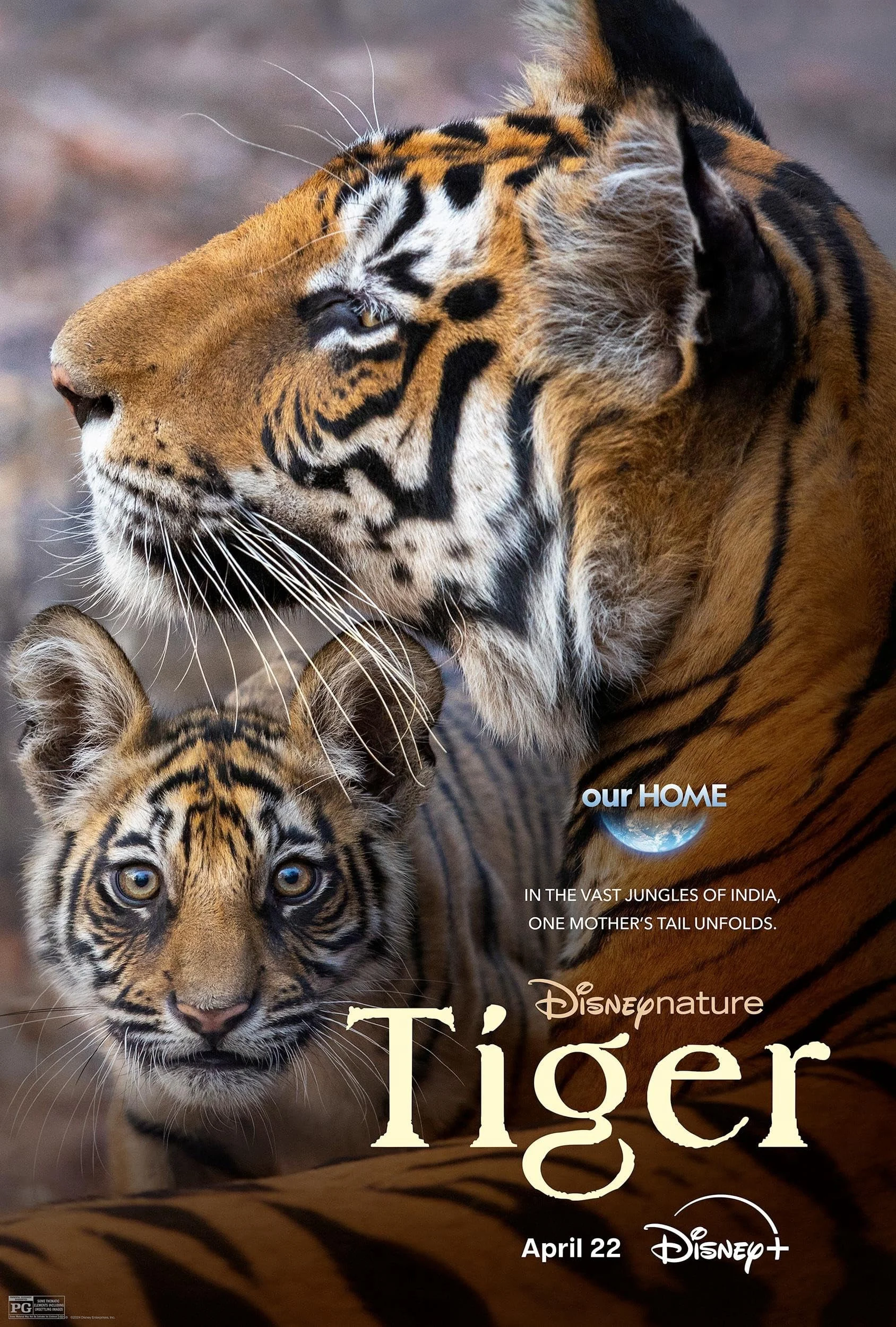 Poster phim Tiger