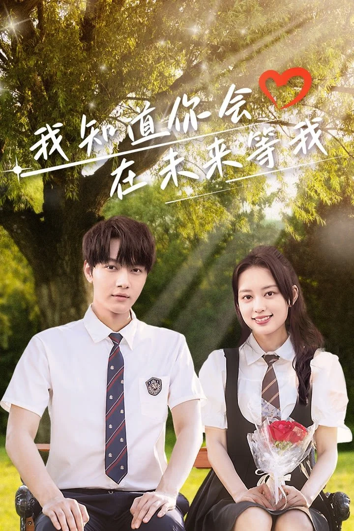 Poster phim Em Biết Anh Sẽ Đợi Em Ở Tương Lai