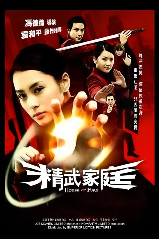 Poster phim Gia Đình Tinh Võ